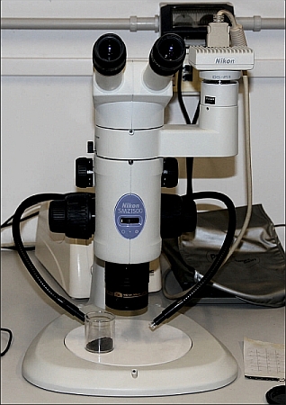 Stereo microscopeBinocular2rit