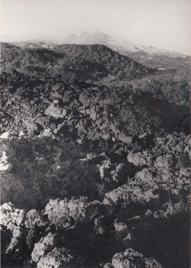 Foto 2D1