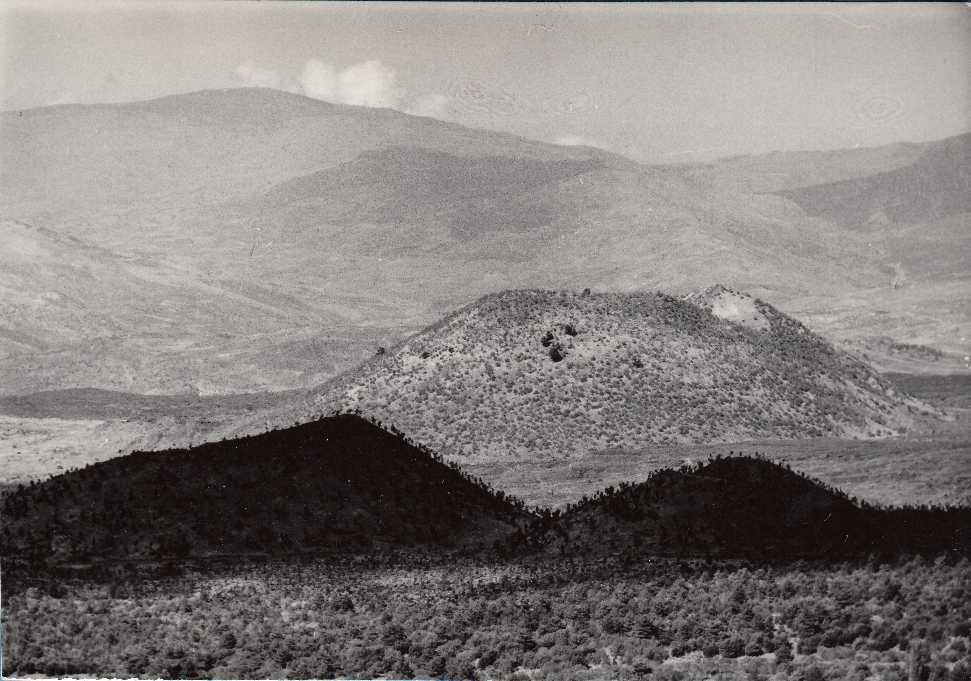 Foto A15