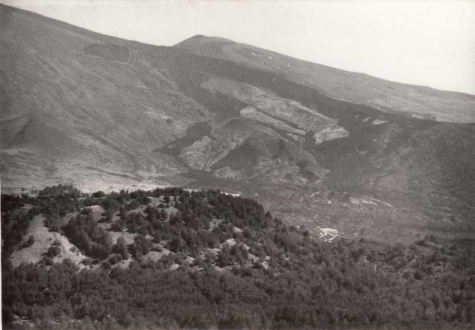 Foto C19