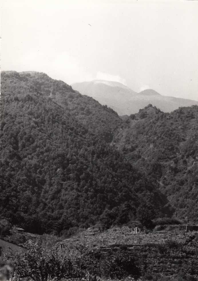 Foto N7
