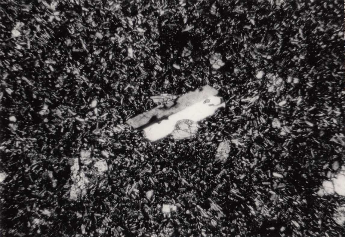 Foto P11