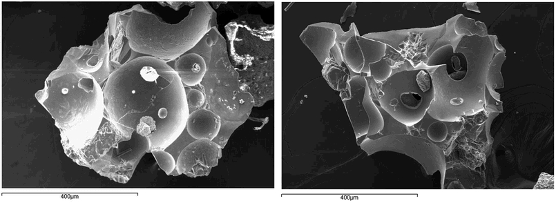 Vescicolati 01